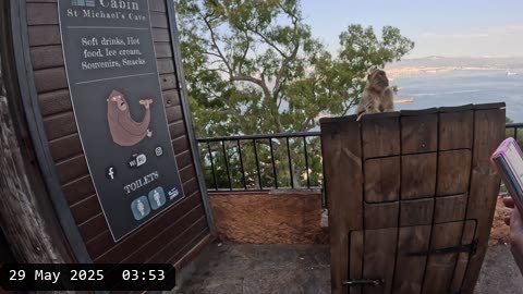 GX010098.MP4
