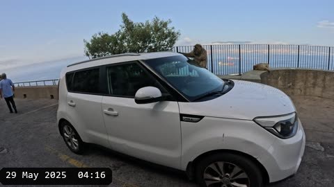 GX010104.MP4