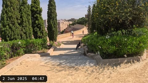 GX010124.MP4