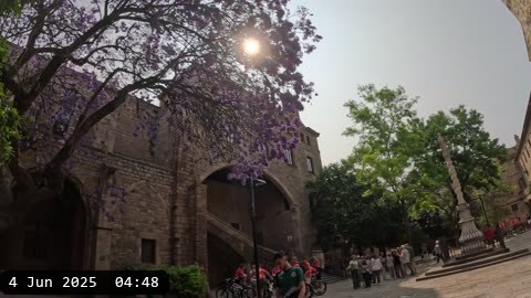 GX010250.MP4